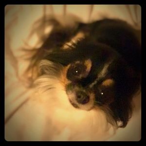 ❤️NOT FOR SALE❤️